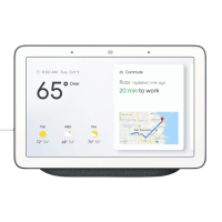 Google Nest Hub