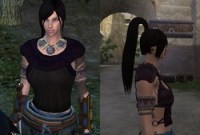 Funcom réduit par mégarde les seins des avatars d'Age of Conan