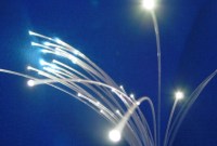 Free, SFR et Orange conserveront la propriété de la fibre optique