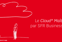 TF1 privé de site web. Un data-center SFR en cause.