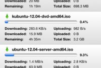 Apple accepte enfin des applications iOS pour BitTorrent