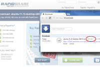 RapidShare ne bride plus la vitesse de téléchargement