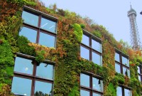 Greentech : Retour sur 5 startups françaises innovantes qui vont révolutionner l'écologie