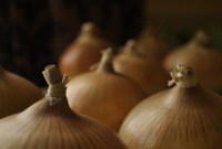 Pour garantir son indépendance, Tor lève 200 000 dollars en crowdfunding