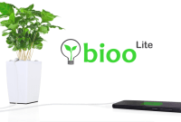 Bioo : et si une plante rechargeait votre téléphone ?