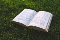 En Belgique, on chasse les livres plutôt que les Pokémon