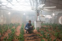 Comme au cinéma, les futurs explorateurs de Mars pourraient cultiver des patates