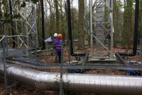 Au cœur de l'Angleterre, une forêt high-tech mesure l'impact du CO2