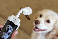 Flexy Paw, le stick à selfie qui permet de s'immortaliser avec son animal de...