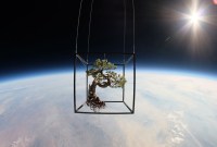 La Nasa fait appel à Tupperware pour améliorer ses plantations de l'ISS
