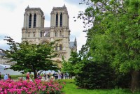 Plan biodiversité : les mesures que Paris pourrait adopter pour devenir verte