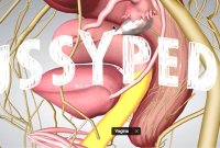 Pussypedia, un Wikipédia « de la chatte » pour briser les tabous