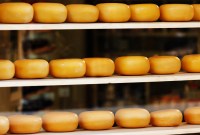 Le goût d'un fromage ne peut pas être protégé par un droit d'auteur, c'est...