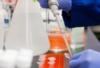 Fécondation in vitro : aux États-Unis, un test génétique estimerait le futur QI d'un...