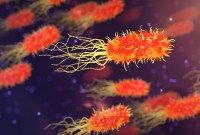 Des « microbes zombies » se cachent sous nos pieds