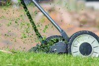 Vous aimez l'odeur de l'herbe tondue ? C'est pourtant un signal de détresse