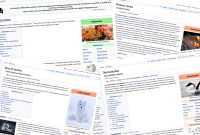 Nos recherches Wikipédia pourraient aider à mieux protéger les espèces menacées