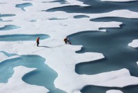 L'Antarctique a perdu autant d'étendue de banquise en 3 ans que l'Arctique en 35...