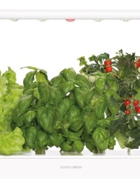 Potagers « connectés » : prix, plants, application... quel est le meilleur à acheter en 2020 ?