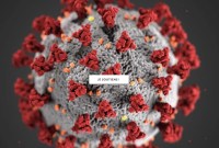 Coronavirus : des dizaines de sites profitent de l'anxiété des Français pour leur faire dépenser beaucoup d'argent