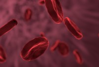 Coronavirus : le sang des personnes guéries pourrait aider à soigner les malades