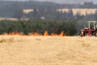 La fumée « ancienne » d'incendies de forêts et terres agricoles influence directement le...
