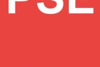 Interview : quelle position du PSE au Parlement Européen après Guy Bono ?