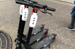 Les trottinettes Bird étaient partout à Paris : elles doivent désormais disparaître