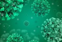 Le coronavirus persiste-t-il 28 jours sur les surfaces ? Un chiffre qui a ses limites