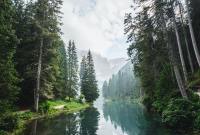Et si vous arrêtiez tout pour écouter le bruit d'une forêt au bout du...