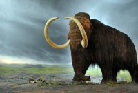 Comment des scientifiques ont séquencé le plus ancien ADN au monde