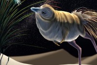 Ce dinosaure exceptionnel pouvait chasser de nuit avec efficacité : quel était son mode...
