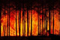 Vague de chaleur en France : comment prévenir les feux de forêt et s'en...