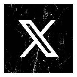 X (Twitter)
