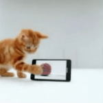 Deux nouvelles publicités pour le Samsung Galaxy S II avec un chat et homme habile avec ses doigts