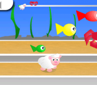 funnyrace