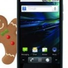 Les dates des mises à jour vers Gingerbread des LG Optimus 2X, 3D et Black