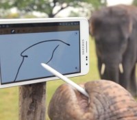 android-samsung-galaxy-note-elephants