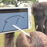 Des éléphants qui adorent le Samsung Galaxy Note