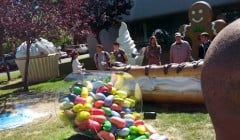 android-jelly-bean-googleplex-image-1