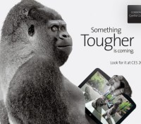 Gorilla