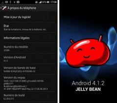 Android 4.1.2 Jelly Bean arrive sur le Sony Xperia Ion