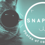 Snapcat : des photos de chats par des chats !