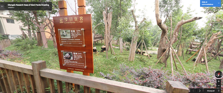 google maps google street view zoo parcs animaliers monde China’s Chengdu Research Base of Giant Panda Breeding