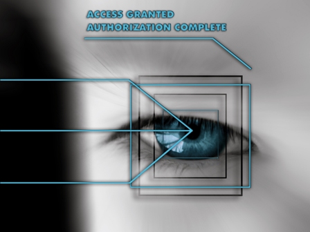 Iris recognition_448x336