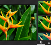 Application photo 4.4
