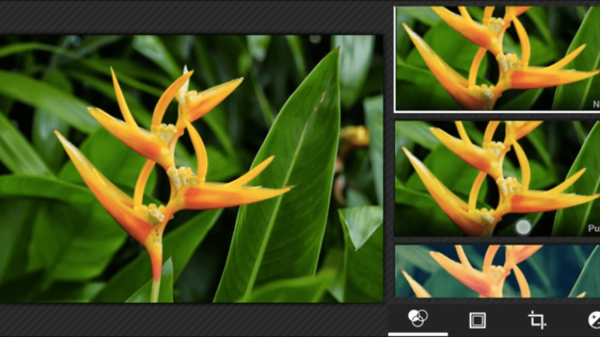 Application photo 4.4