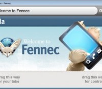 fennec-1