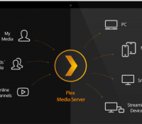 Plex strat