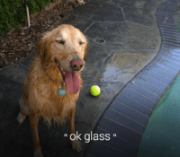 Google Glass